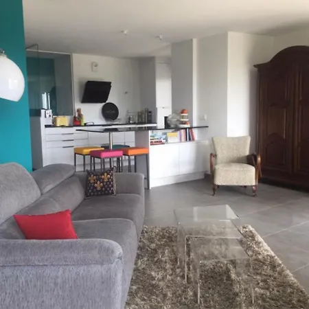 Grand Apartment Straßburg